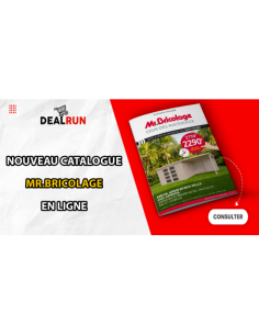 Mr.Bricolage - Jusqu'au 16...